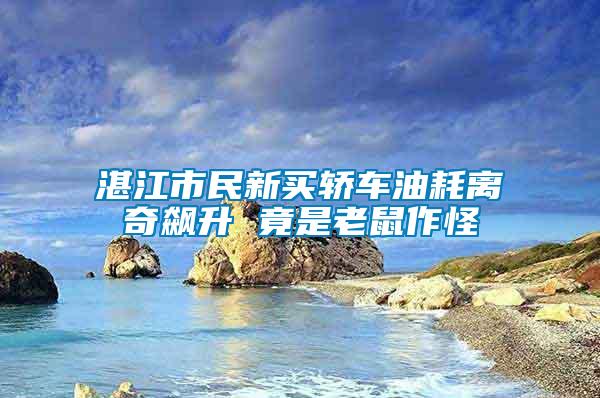 湛江市民新買(mǎi)轎車(chē)油耗離奇飆升 竟是老鼠作怪