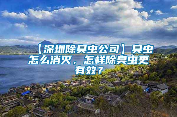 【深圳除臭蟲(chóng)公司】臭蟲(chóng)怎么消滅，怎樣除臭蟲(chóng)更有效？