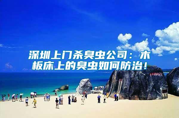 深圳上門殺臭蟲公司：木板床上的臭蟲如何防治！