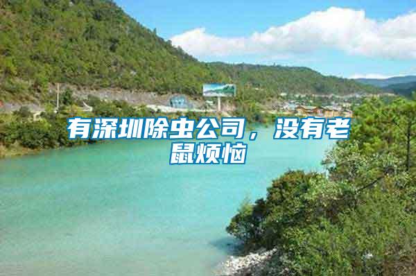 有深圳除蟲(chóng)公司，沒(méi)有老鼠煩惱