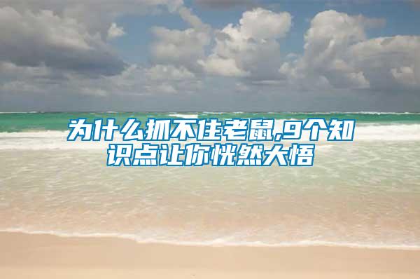 為什么抓不住老鼠,9個(gè)知識(shí)點(diǎn)讓你恍然大悟