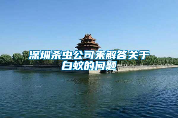 深圳殺蟲公司來(lái)解答關(guān)于白蟻的問(wèn)題