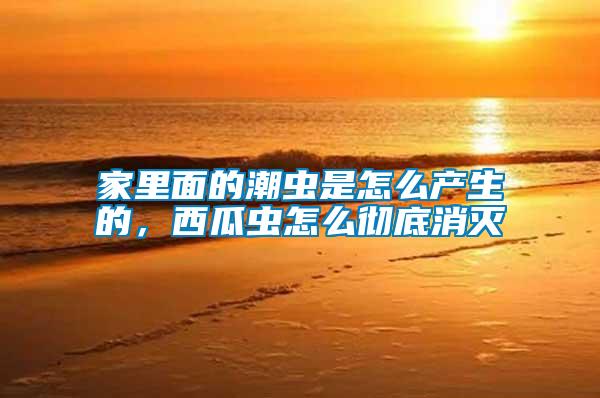 家里面的潮蟲是怎么產生的，西瓜蟲怎么徹底消滅