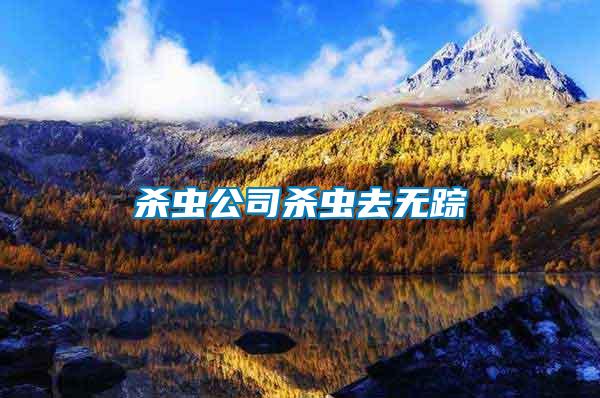 殺蟲公司殺蟲去無(wú)蹤