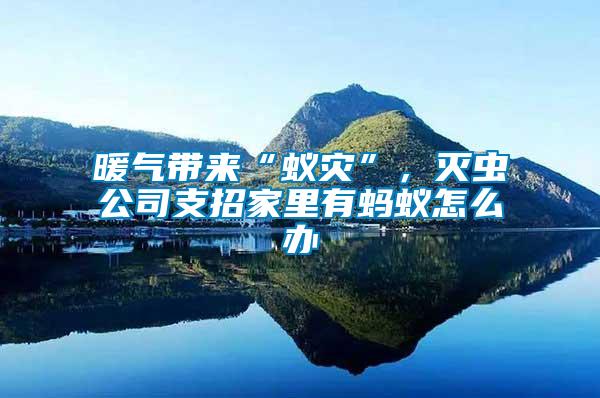 暖氣帶來“蟻災”，滅蟲公司支招家里有螞蟻怎么辦