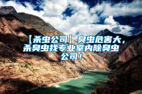 【殺蟲(chóng)公司】臭蟲(chóng)危害大，殺臭蟲(chóng)找專(zhuān)業(yè)室內(nèi)除臭蟲(chóng)公司！