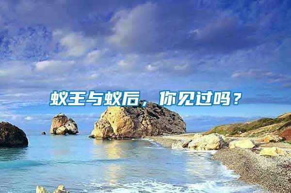 蟻王與蟻后，你見(jiàn)過(guò)嗎？