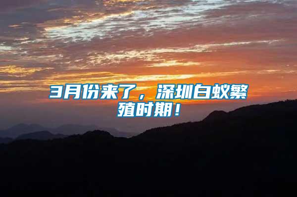 3月份來了，深圳白蟻繁殖時(shí)期！