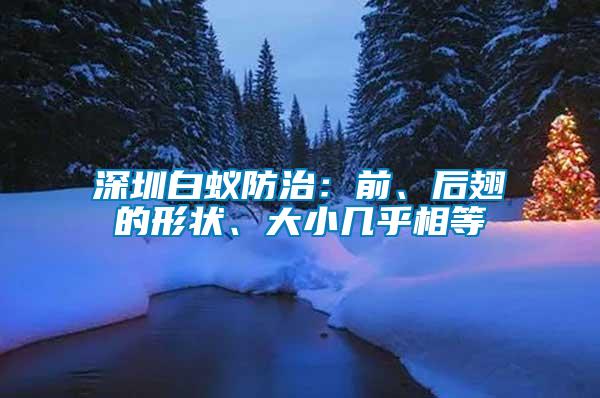 深圳白蟻防治：前、后翅的形狀、大小幾乎相等