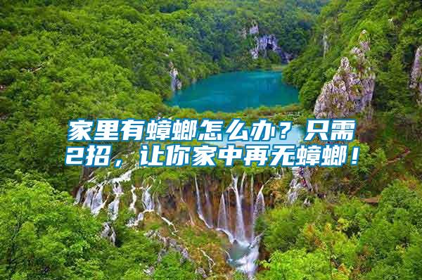 家里有蟑螂怎么辦？只需2招，讓你家中再無蟑螂！