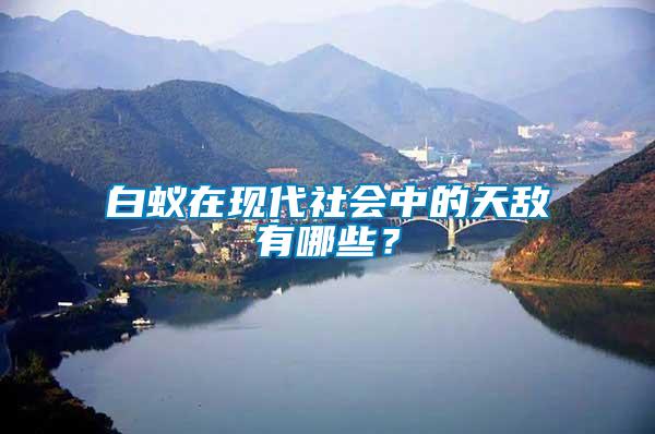 白蟻在現(xiàn)代社會(huì)中的天敵有哪些？