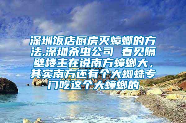 深圳飯店廚房滅蟑螂的方法,深圳殺蟲公司 看見隔壁樓主在說(shuō)南方蟑螂大，其實(shí)南方還有個(gè)大蜘蛛專門吃這個(gè)大蟑螂的