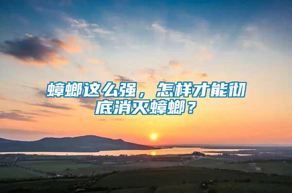 蟑螂這么強，怎樣才能徹底消滅蟑螂？