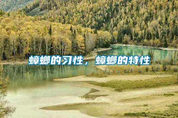 蟑螂的習性，蟑螂的特性