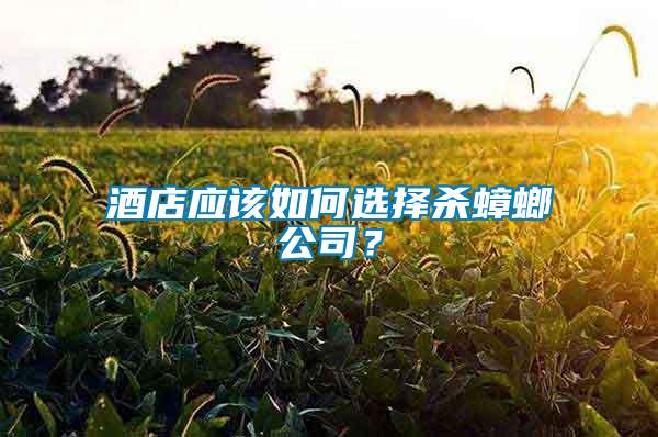 酒店應(yīng)該如何選擇殺蟑螂公司？