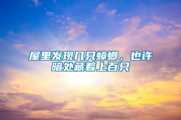 屋里發現幾只蟑螂，也許暗處藏著上百只