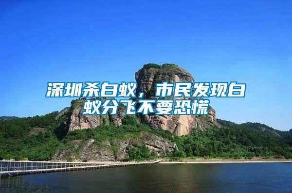 深圳殺白蟻，市民發(fā)現(xiàn)白蟻分飛不要恐慌