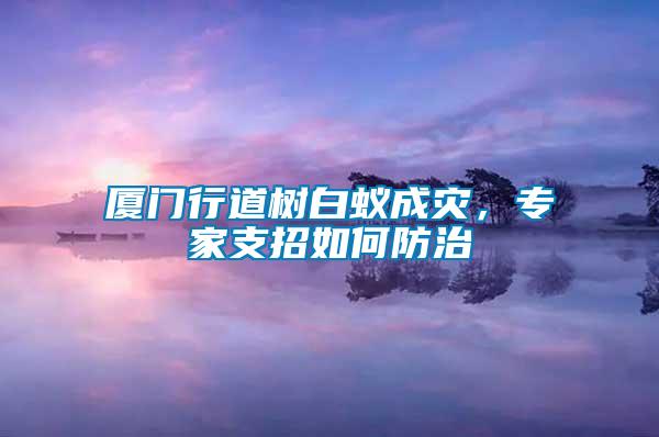 廈門行道樹白蟻成災(zāi)，專家支招如何防治