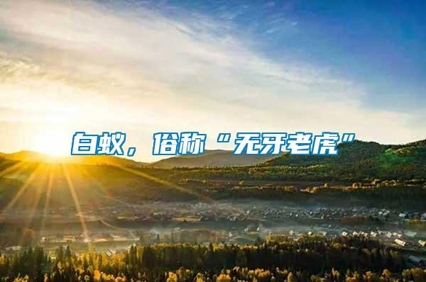 白蟻，俗稱“無牙老虎”