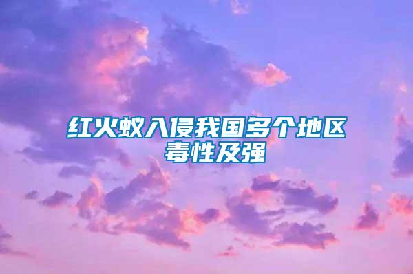 紅火蟻入侵我國多個地區(qū) 毒性及強(qiáng)