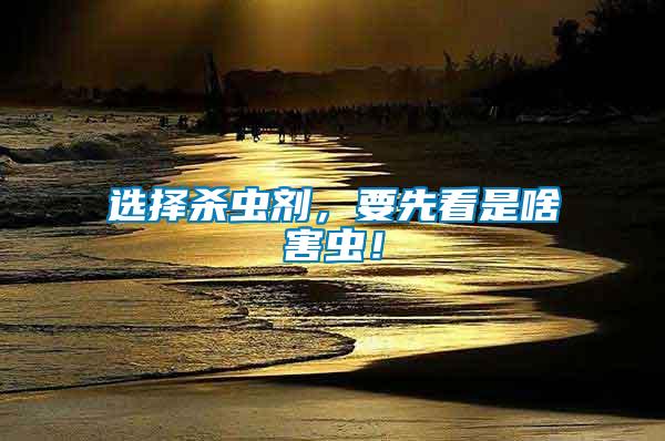 選擇殺蟲(chóng)劑，要先看是啥害蟲(chóng)！