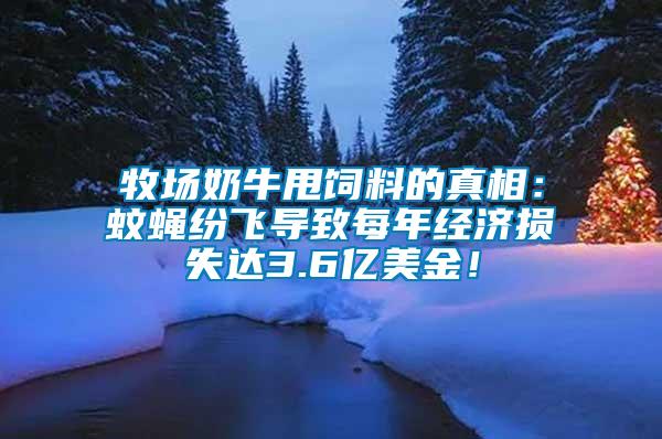 牧場奶牛甩飼料的真相：蚊蠅紛飛導致每年經濟損失達3.6億美金！