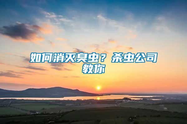 如何消滅臭蟲？殺蟲公司教你