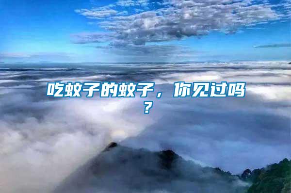 吃蚊子的蚊子，你見過嗎？
