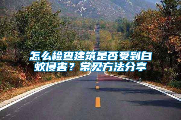 怎么檢查建筑是否受到白蟻侵害？常見(jiàn)方法分享