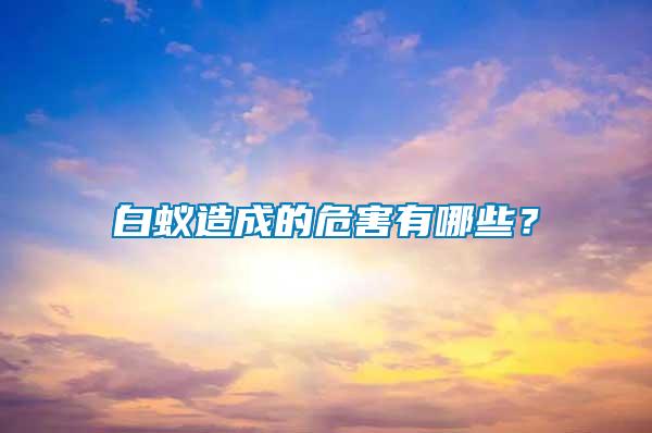 白蟻造成的危害有哪些？