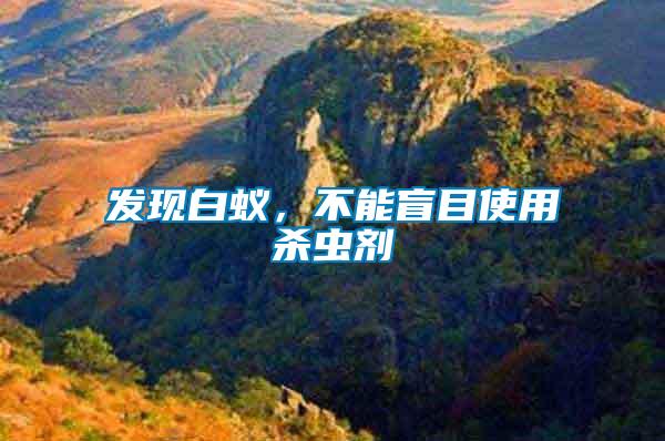 發(fā)現(xiàn)白蟻，不能盲目使用殺蟲劑