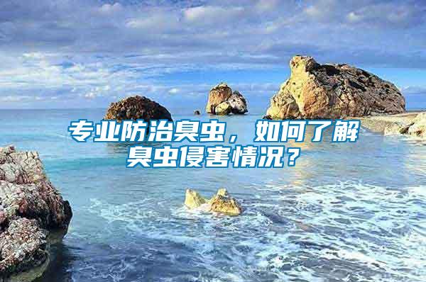 專(zhuān)業(yè)防治臭蟲(chóng)，如何了解臭蟲(chóng)侵害情況？