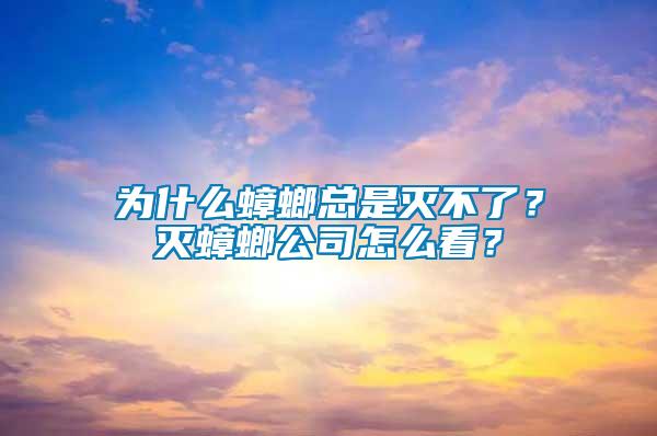 為什么蟑螂總是滅不了？滅蟑螂公司怎么看？