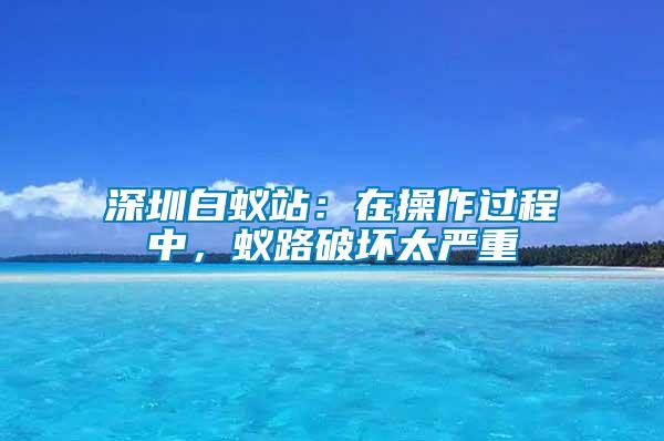 深圳白蟻站：在操作過程中，蟻路破壞太嚴(yán)重