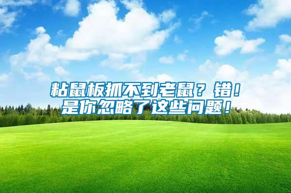 粘鼠板抓不到老鼠？錯(cuò)！是你忽略了這些問題！