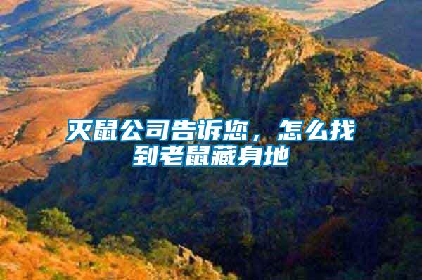 滅鼠公司告訴您，怎么找到老鼠藏身地