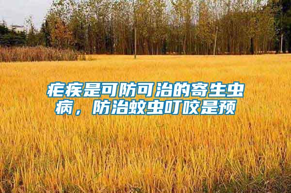 瘧疾是可防可治的寄生蟲病，防治蚊蟲叮咬是預(yù)