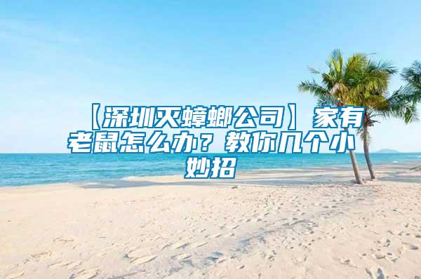 【深圳滅蟑螂公司】家有老鼠怎么辦？教你幾個小妙招