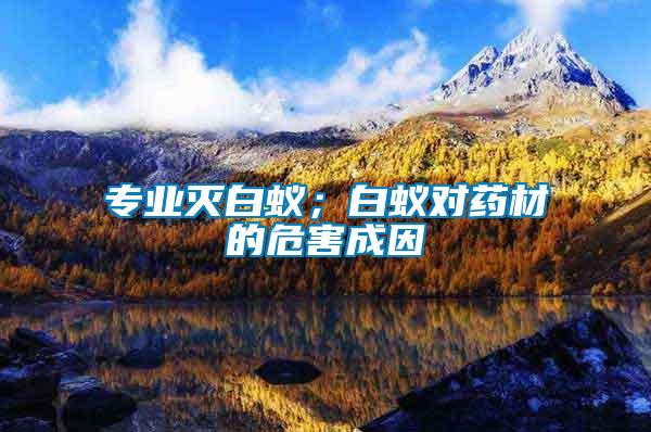 專業(yè)滅白蟻；白蟻對藥材的危害成因