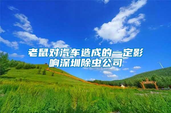 老鼠對(duì)汽車(chē)造成的一定影響深圳除蟲(chóng)公司