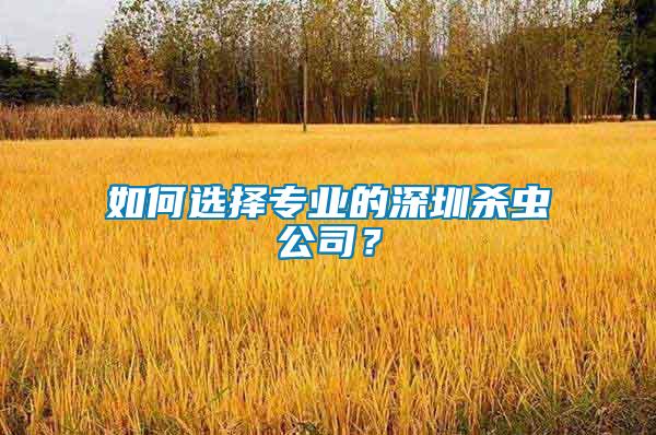 如何選擇專業的深圳殺蟲公司？