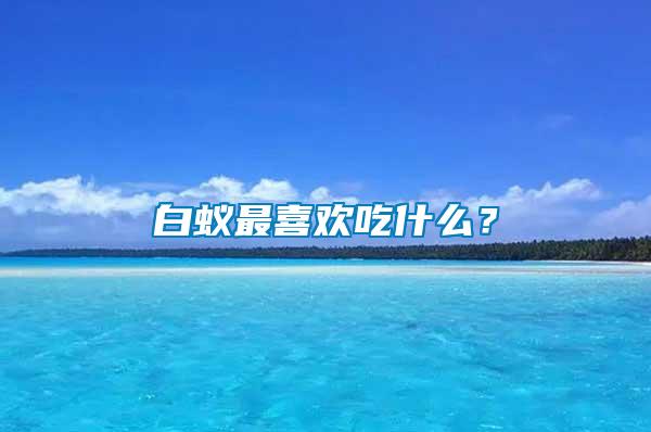 白蟻最喜歡吃什么？