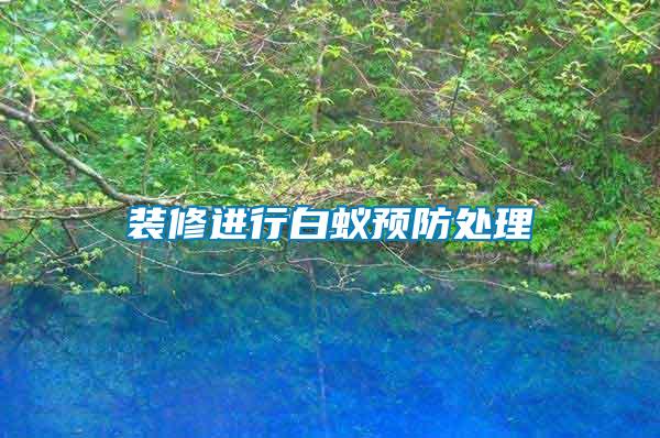 裝修進行白蟻預(yù)防處理