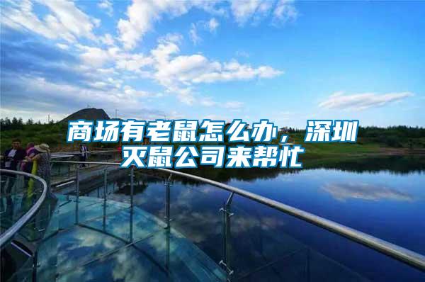 商場有老鼠怎么辦，深圳滅鼠公司來幫忙