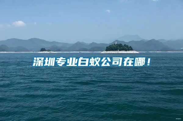 深圳專業白蟻公司在哪！
