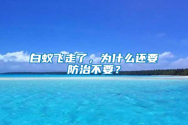 白蟻飛走了，為什么還要防治不要？