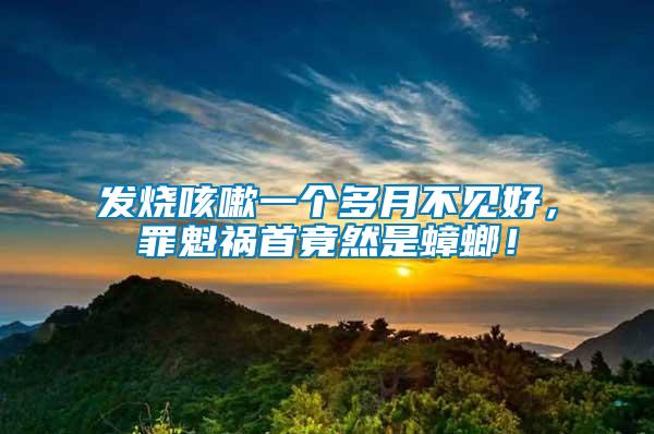 發(fā)燒咳嗽一個多月不見好，罪魁禍首竟然是蟑螂！