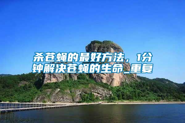 殺蒼蠅的最好方法，1分鐘解決蒼蠅的生命_重復