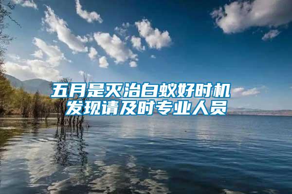 五月是滅治白蟻好時機(jī) 發(fā)現(xiàn)請及時專業(yè)人員