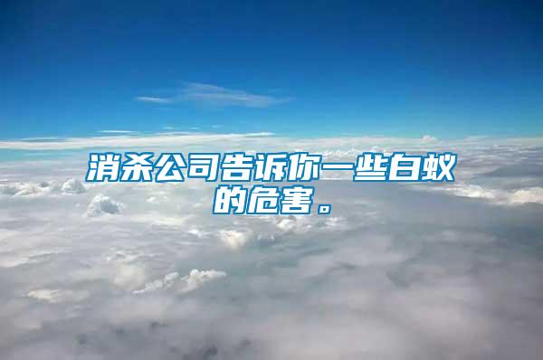 消殺公司告訴你一些白蟻的危害。